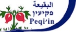 מועצה מקומית פקיעין